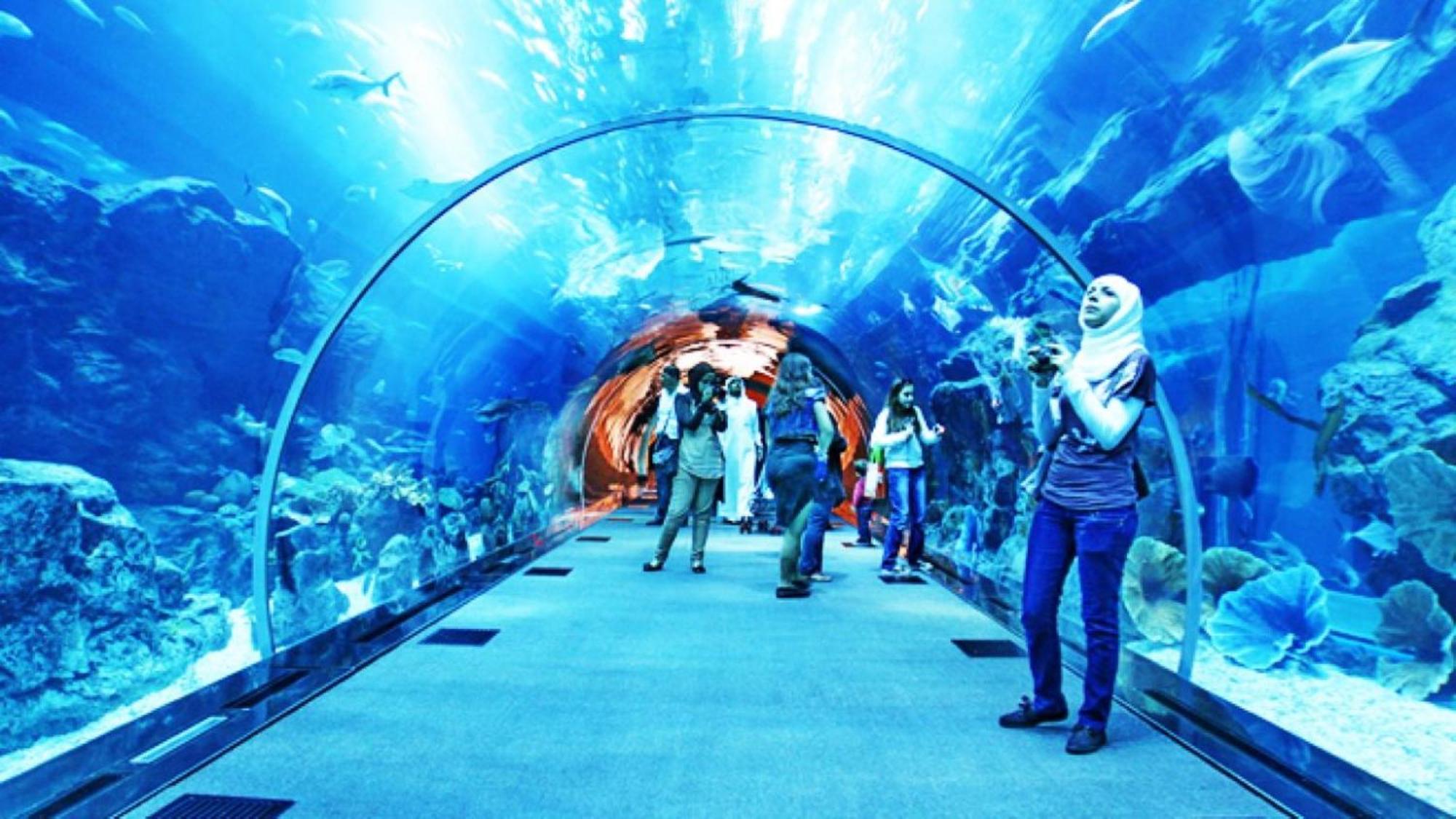 Dalla Laretta Di Fronte All Acquario Di Genova Εξωτερικό φωτογραφία